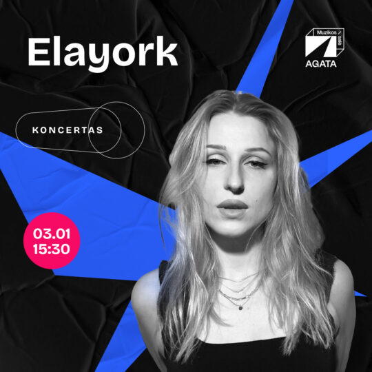 Elayork