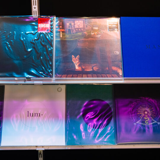 Albumų viršeliai vėl dėmesio centre: startuoja 2025 metų rinkimai